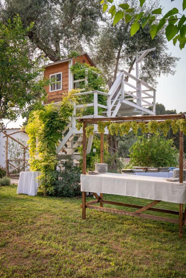 Bed and Breakfast Casa Lucia Półwysep Sorrentyński Zewnętrze zdjęcie